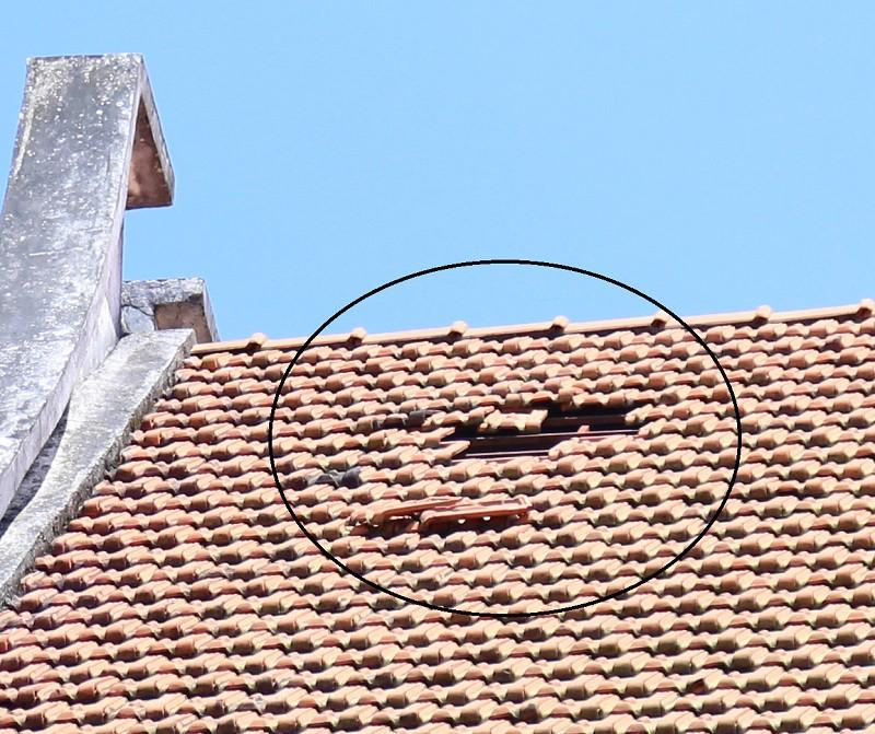 Mái ngoài của công trình có nhiều điểm hư hỏng hỏng, khiến nhiều người lo ngại mưa dột.