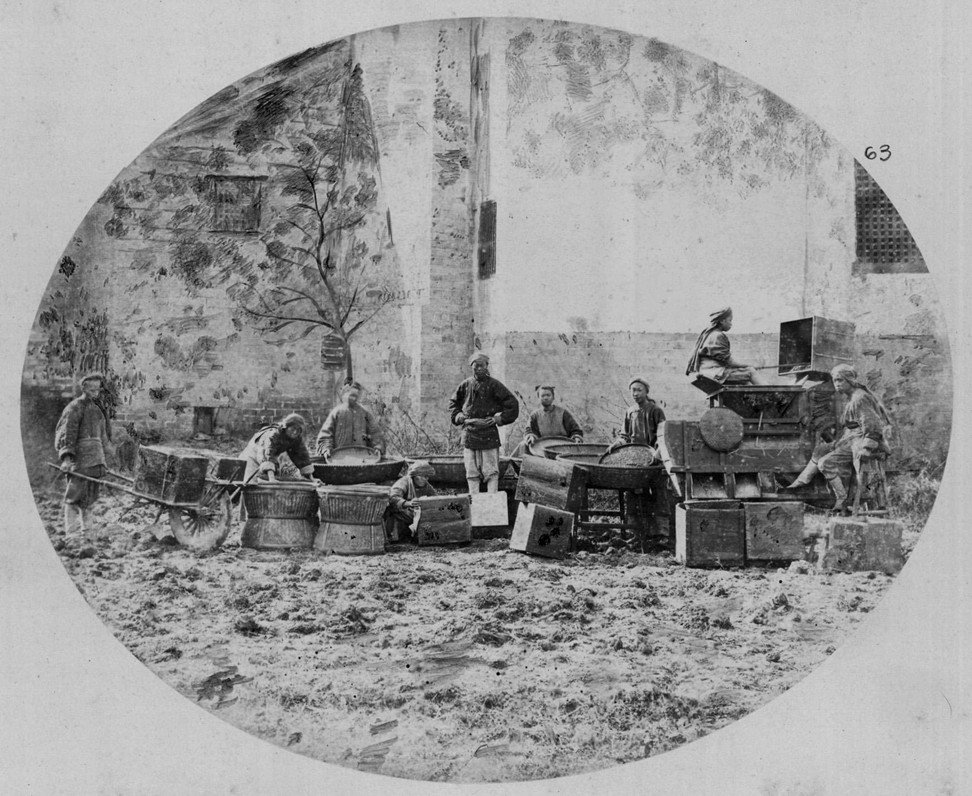 Lá trà được sấy khô trước khi đem đi vận chuyển ở Trung Quốc năm 1874.