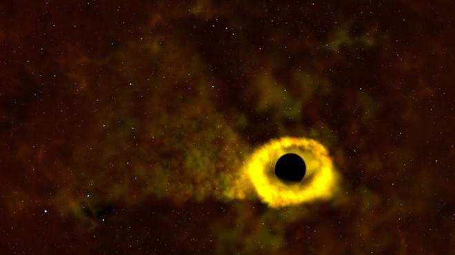 Khoảnh khắc hố đen “xé xác” một ngôi sao - 1