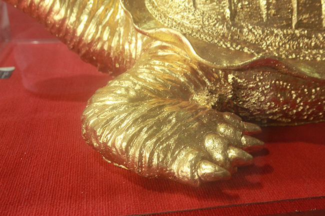 Chân trước&nbsp;