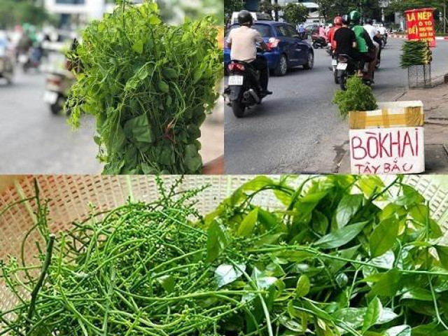 Thị trường - Tiêu dùng - Đặc sản rau rừng đổ bộ về Thủ đô, giá chát vẫn cháy hàng