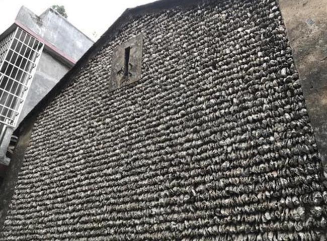 Lấy hàng trăm nghìn vỏ hàu đắp lên tường, ngôi làng này tồn tại suốt 600 năm qua - 1