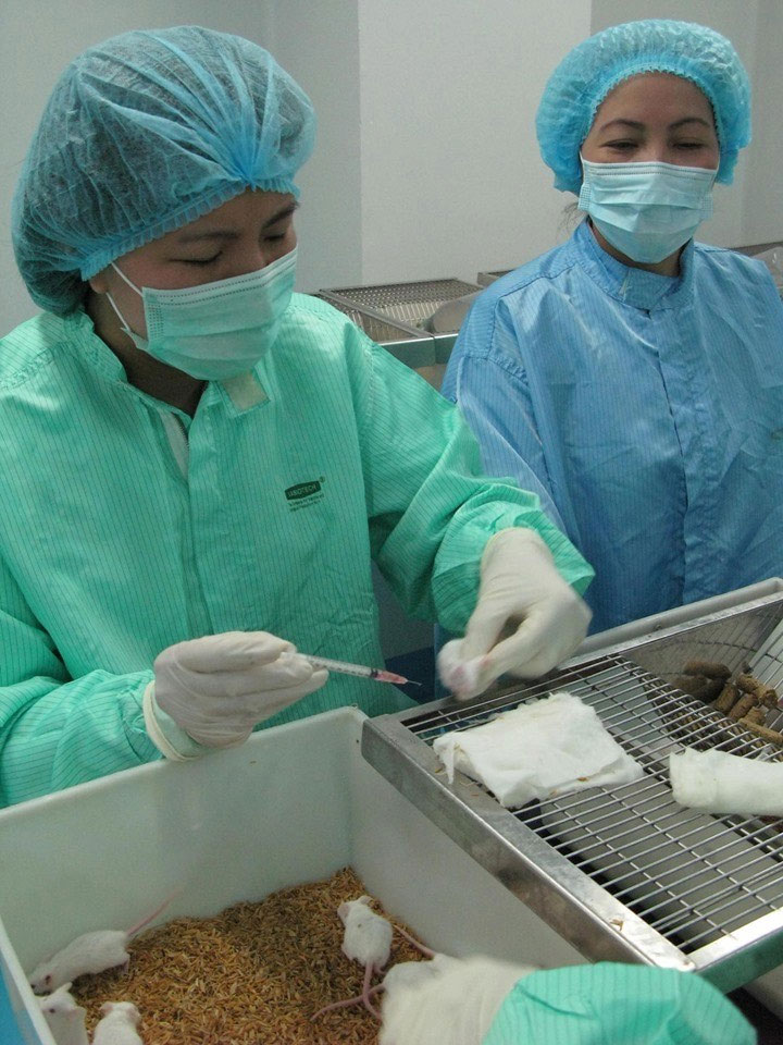 Sau tiêm vaccine, hiện chuột thí nghiệm khoẻ mạnh và tiếp tục được theo dõi. 