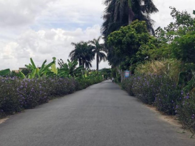 Pháp luật - Một cán bộ đô thị phường bị chém sau khi rời trụ sở