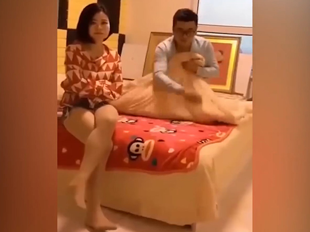 Video Clip Cười - Khoảnh khắc "xấu hổ muốn độn thổ" của các cặp vợ chồng