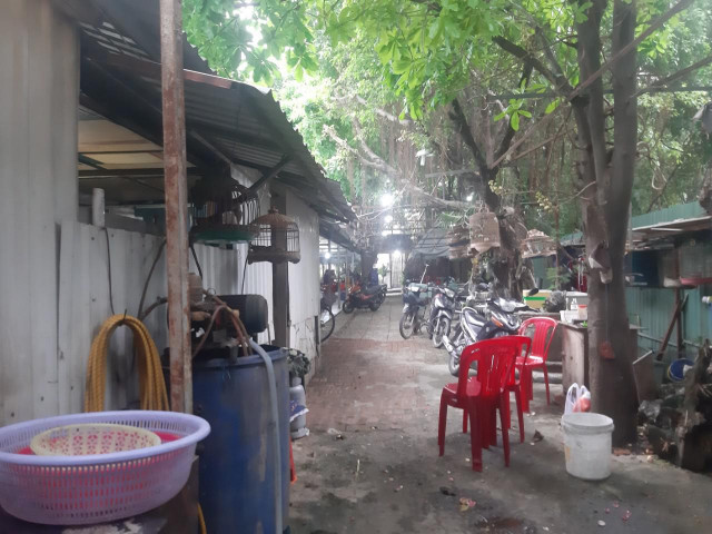 Pháp luật - Bất ngờ tình tiết vụ đương sự định nhảy lầu tại tòa