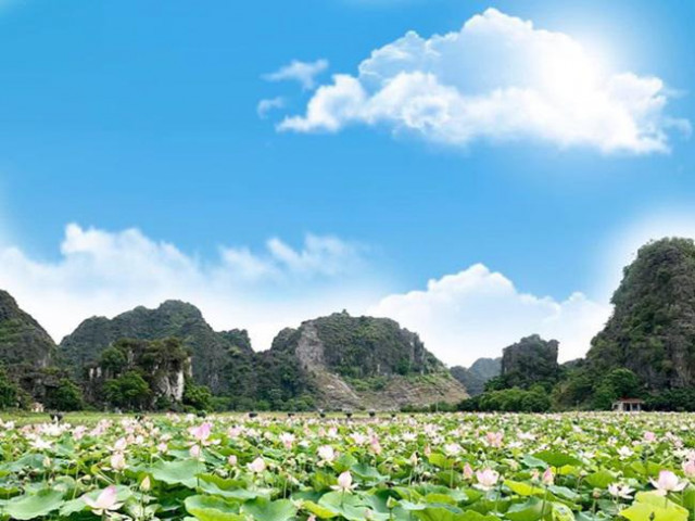 Du lịch - Đầm sen Ninh Bình nở đẹp rực rỡ, chị em lên lịch "bung lụa" cuối tuần