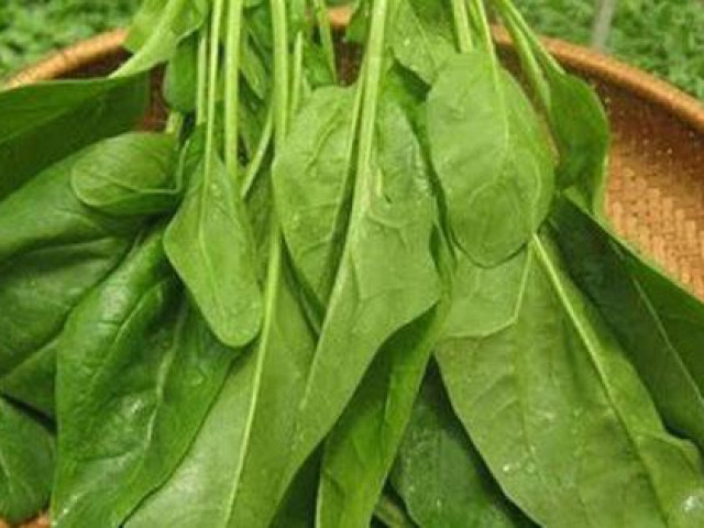 Ẩm thực - Đọc xong 7 lý do này, bạn sẽ mua và ăn rau cải bó xôi thường xuyên ngay lập tức