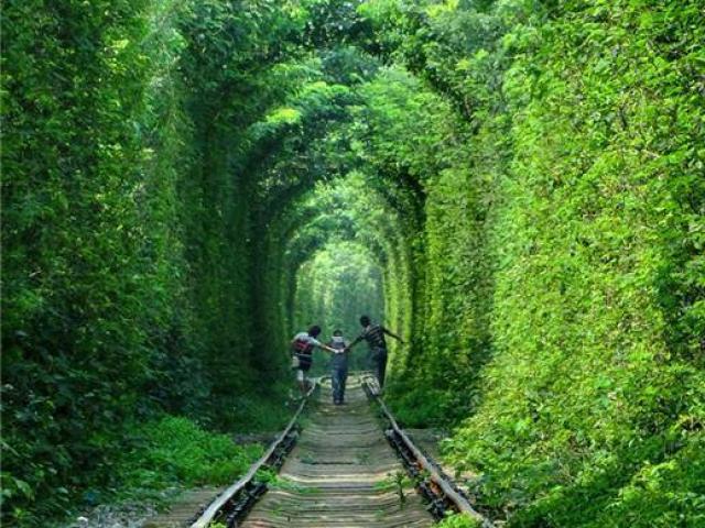Du lịch - Đường ray xe lửa bỏ hoang phủ đầy cây xanh trở thành đường hầm lãng mạn