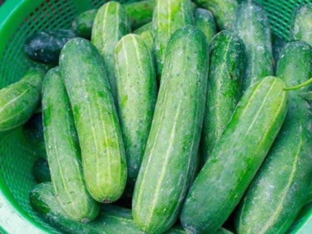 Sức khỏe đời sống - Những sai lầm khi ăn dưa chuột dễ rước bệnh vào người, đa số người Việt đều mắc phải