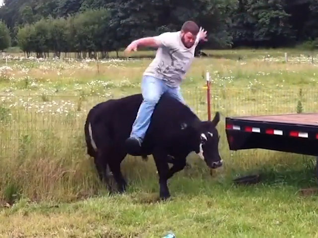 Video Clip Cười - Những pha nghịch dại hài hước nhất mọi thời đại