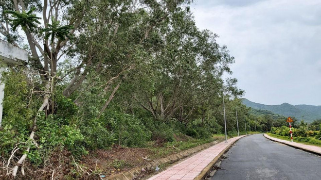 Đây là khu đất rộng lớn trước đây bà Phan Thị Thu Cúc (mẹ vợ ông Nguyễn Đăng Khoa) rào chiếm, nay đã tháo dỡ hàng rào lưới B40