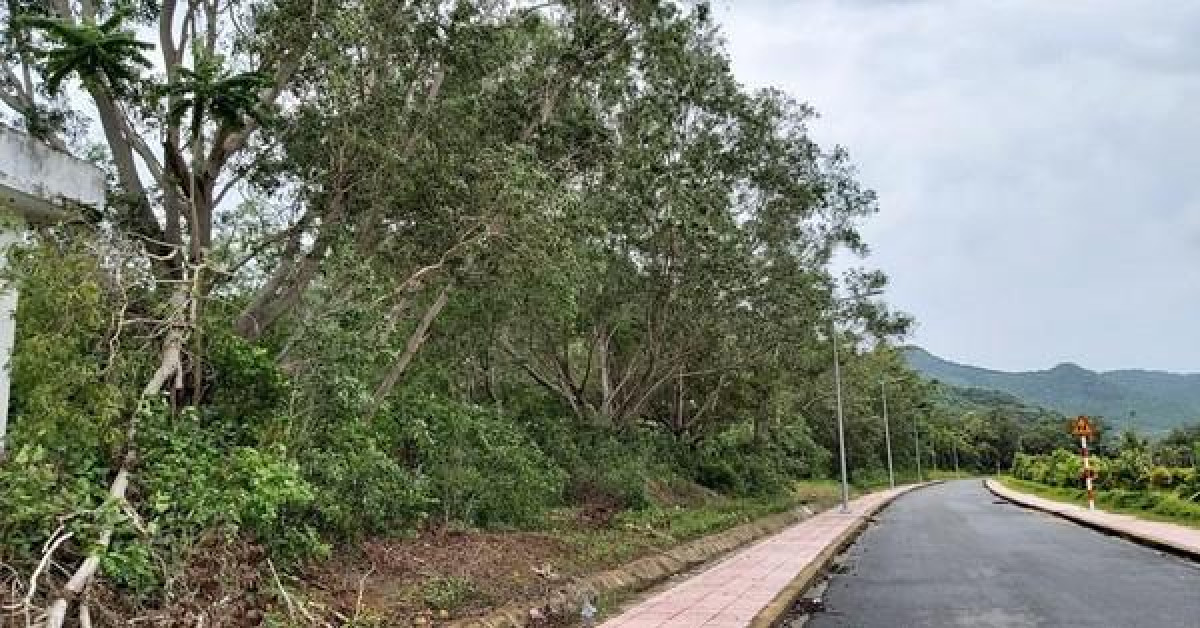 Tin tức trong ngày - Chánh án TAND huyện Côn Đảo mắc sai phạm gì?