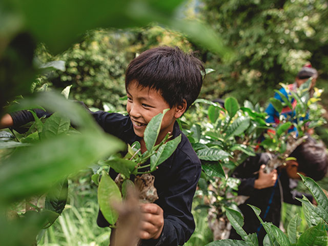 Sức khỏe đời sống - Góc nhìn chân thực về cuộc sống của dân tộc thiểu số rất ít người được lan tỏa trên mạng xã hội