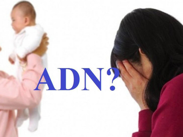 Đại gia cung phụng vợ bé, nuôi nhầm "con tu hú"