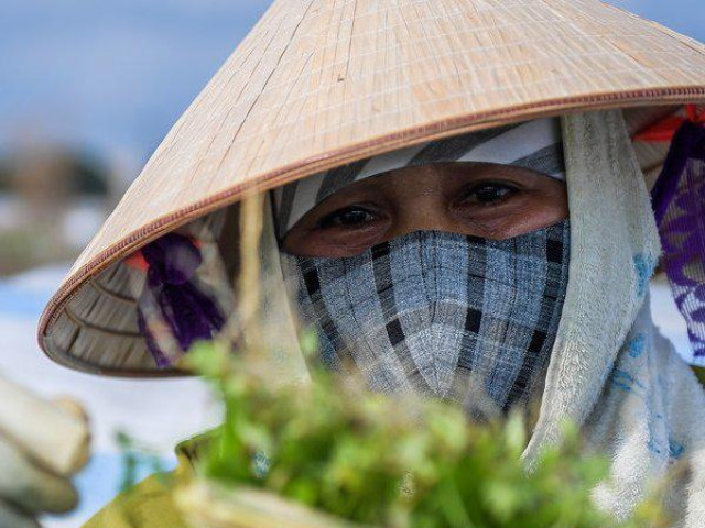 Thị trường - Tiêu dùng - Rùng mình ruộng rau sống nhờ nước thải ô nhiễm