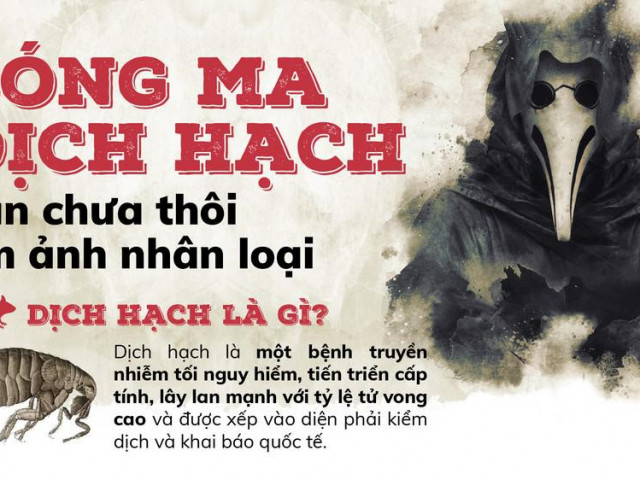 Sức khỏe đời sống - "Bóng ma" dịch hạch ám ảnh nhân loại