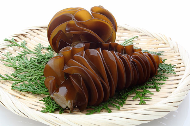 Hiệu quả tuyệt vời của chất nhờn từ tảo nâu mà ít người biết - 1