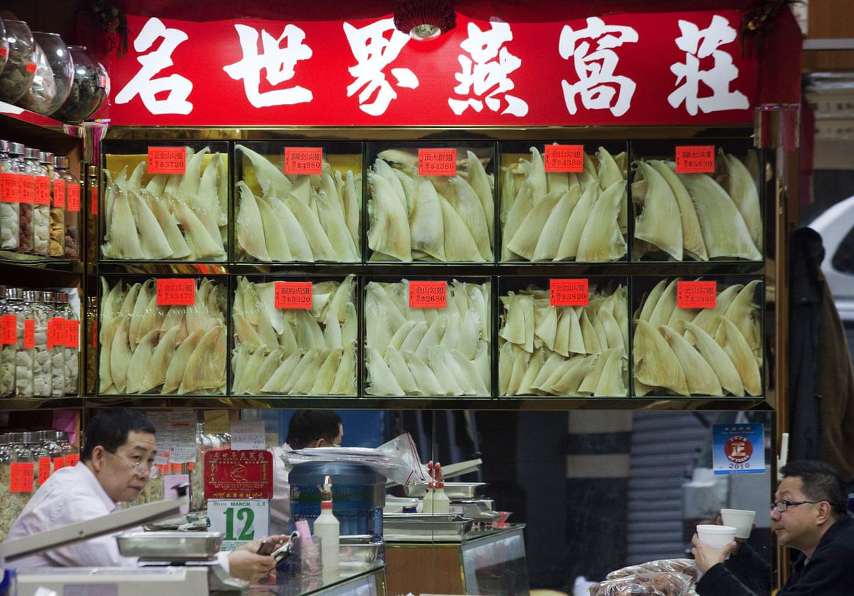 Vây cá mập được bày bán ở Trung Quốc (ảnh: The Guardian)