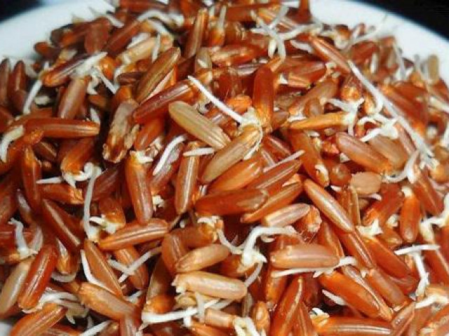 Ẩm thực - 6 thực phẩm mọc mầm không hề độc mà là "thần dược" cho sức khỏe