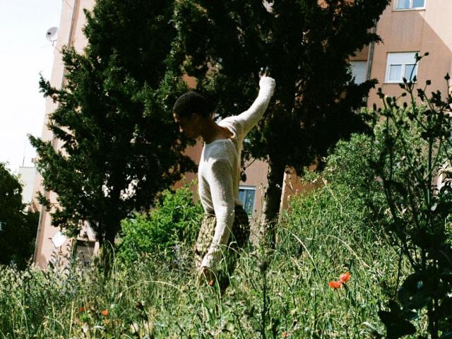 Thời trang - Quần áo bạn đang mặc có thể đang phá rừng