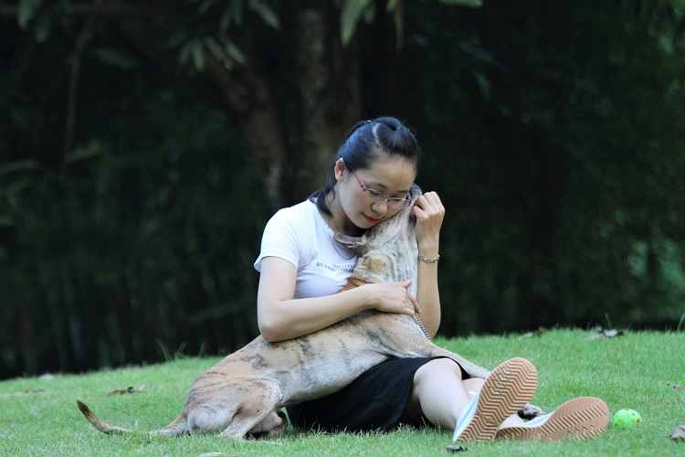 “Khuyển vương” 300 triệu và bí mật thương vụ chuyển nhượng chó Phú Quốc đắt nhất VN - Ảnh 5.