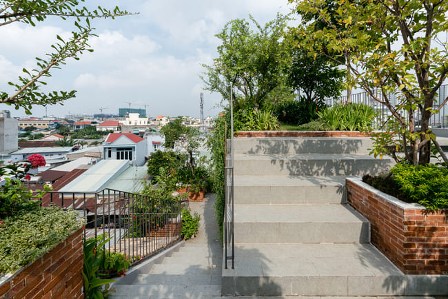 Cây xanh đủ loại trên sân thượng.
