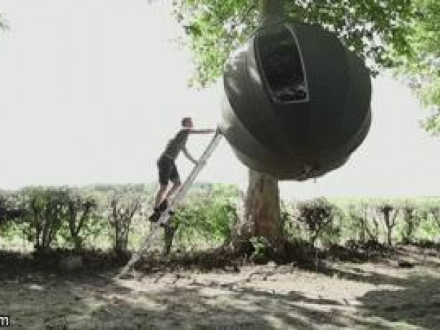 Du lịch - Lạ kỳ nhà treo trên cây cao hút khách du lịch ở Bỉ