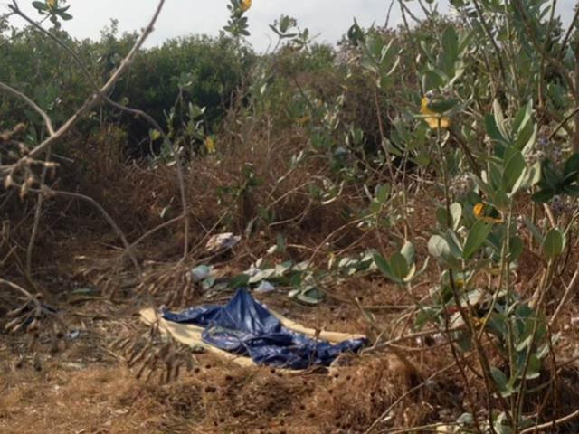 Pháp luật - Đi "tàu nhanh" trong bụi rậm với khách, cô gái bị sát hại