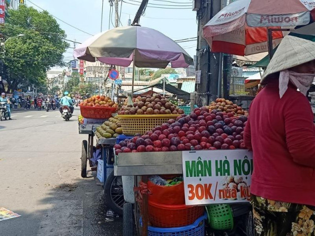 Thị trường - Tiêu dùng - Mận, đào Trung Quốc núp bóng hàng Việt đổ về TP.HCM