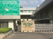 Tin tức trong ngày - SAGRI sai phạm nghiêm trọng thế nào mà khiến nhiều cán bộ vướng lao lý?