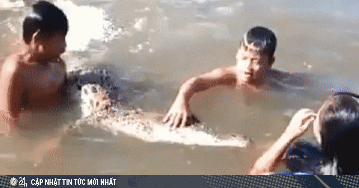 Video: Đám trẻ vô tư nghịch ngợm hàm răng cá sấu, ai xem cũng phải rùng mình