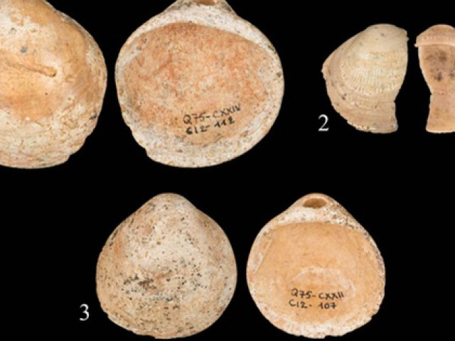 Công nghệ thông tin - Bằng chứng sốc: tồn tại những "con người lai" thông minh hơn cả chúng ta?