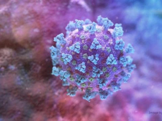 Hình ảnh máy tính của biến thể virus SARS-CoV-2.&nbsp;Ảnh: REUTERS