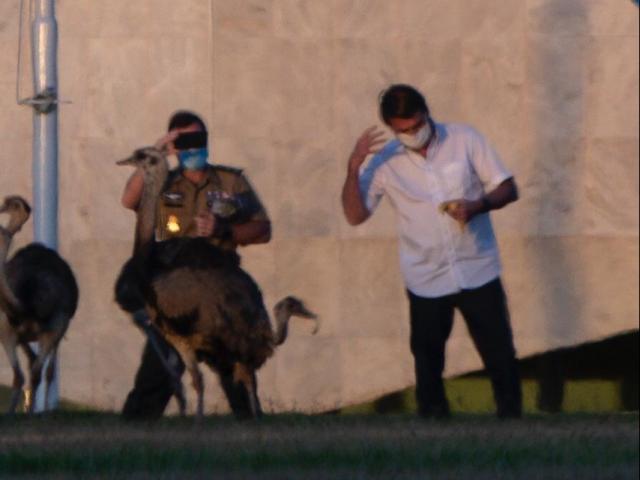 Thế giới - "Họa vô đơn chí" với Tổng thống Brazil sau khi bị nhiễm Covid-19