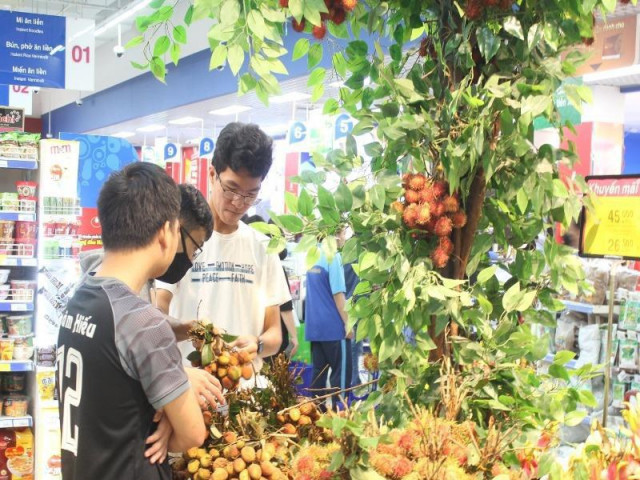 Thị trường - Tiêu dùng - Mùa vải thiều trúng đậm, Bắc Giang thu kỷ lục hơn 6.800 tỉ