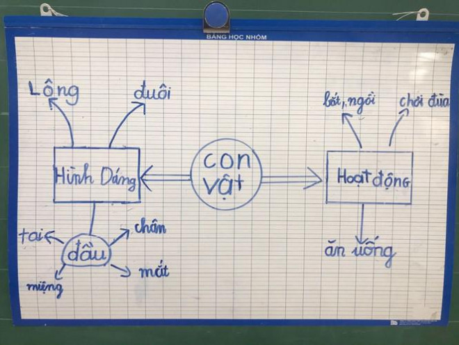 Nhưng thực ra là một sơ đồ tư duy để làm bài tập làm văn tả con mèo