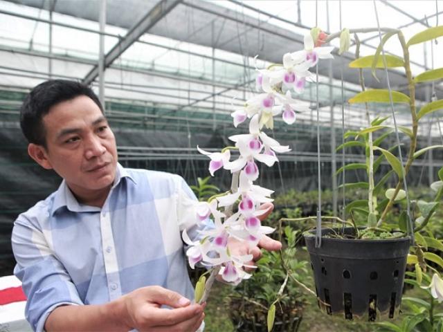 Thị trường - Tiêu dùng - Chuyên gia sinh vật cảnh "vén màn" những giao dịch lan tiền tỷ: Sự thật bất ngờ