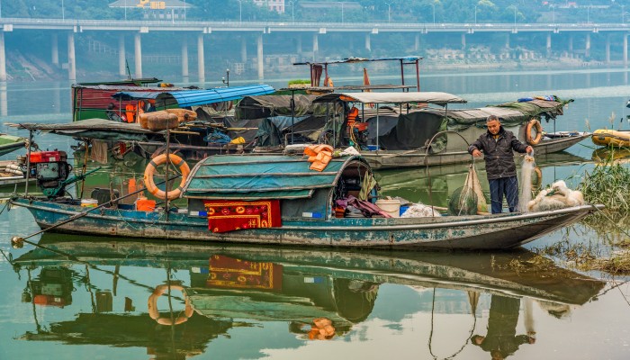 Hàng trăm ngàn ngư dân phải xếp lưới do lệnh cấm đánh bắt cá sông Dương Tử (ảnh: SCMP)