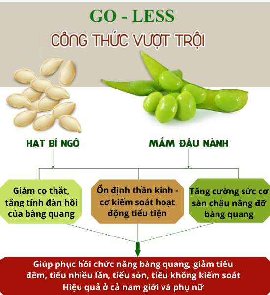 Cơ chế tác dụng của GO-LESS