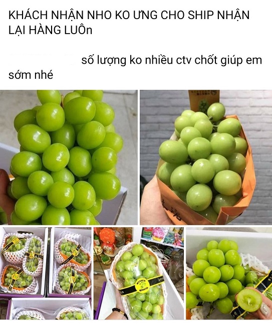 Nho sữa Trung Quốc “loạn giá” trên chợ mạng, chị em đặt mua ăn thử và cái kết bất ngờ - 3