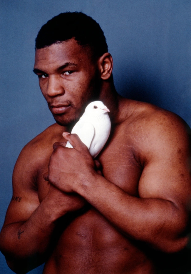 Mike Tyson chụp ảnh với chú chim bồ câu của mình trong buổi chụp hình.
