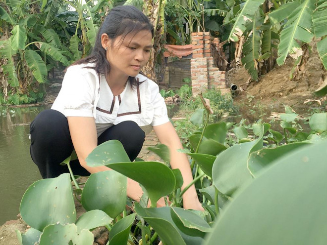 Chị Giang tần tảo làm việc nhà