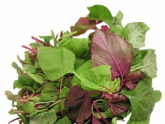 Sức khỏe đời sống - Loại rau “trường thọ” tốt cho sức khỏe mọc hoang đầy vườn, không phải ai cũng biết