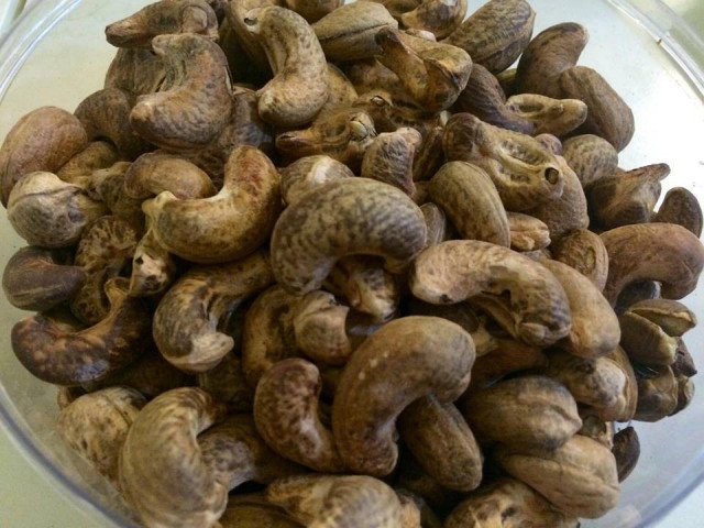 Sức khỏe đời sống - Ăn hạt điều có thể giúp phòng ngừa bệnh tiểu đường