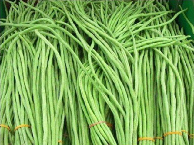 Sức khỏe đời sống - Nguy cơ mất mạng khi sử đụng đậu đũa sai cách