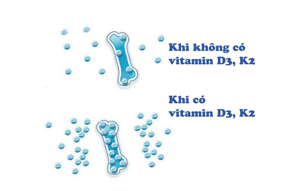 Đột phá chiều cao 12cm/năm nhờ bổ sung vitamin K2 đúng cách - 2