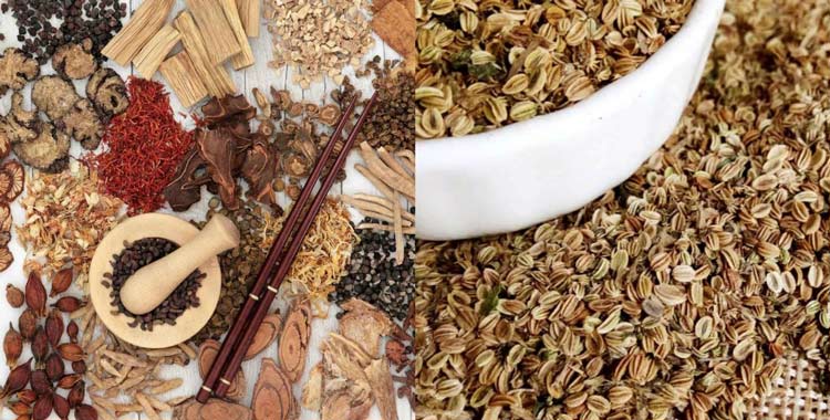 Xà sàng tử đã được nhiều danh y sử dụng từ hàng ngàn năm trước