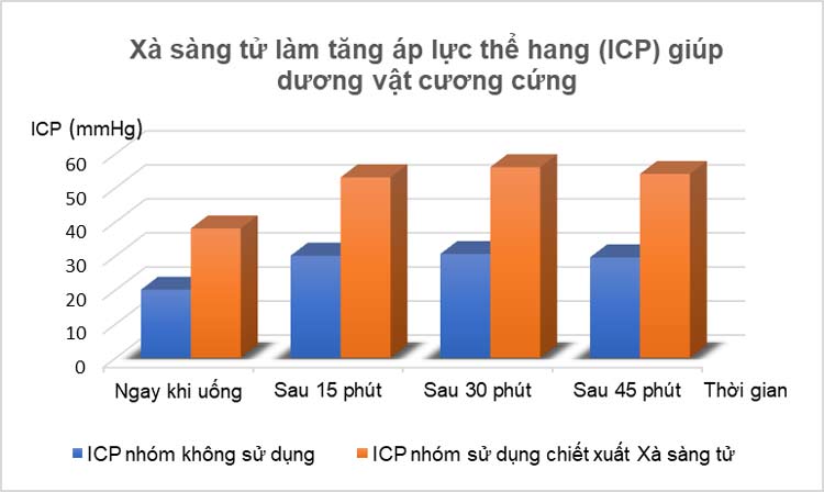 Xà sàng tử kéo dài thời gian cương dương thông qua tăng ICP
