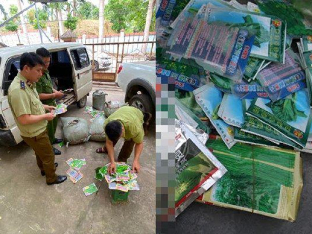 Thị trường - Tiêu dùng - “Chặn đứng' hành vi thu gom hạt giống rau không rõ nguồn gốc về bán kiếm lời